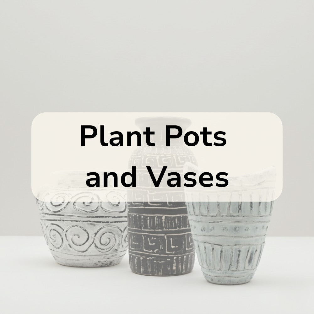 Plant Pots and Vases