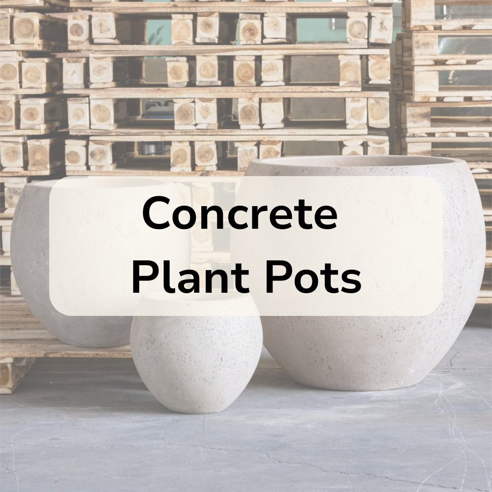 Concrete Plant Pots